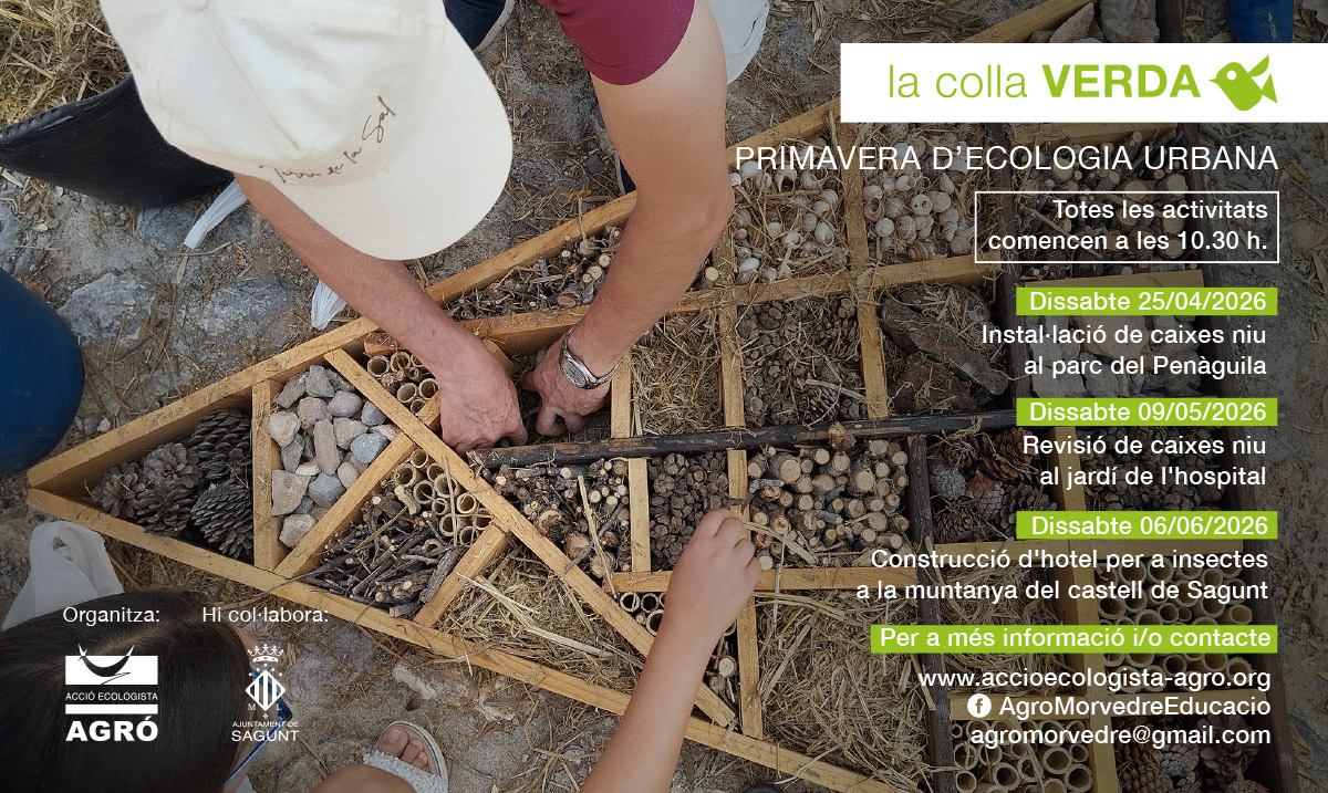 La Colla Verda llança una nova campanya de voluntariat d’ecologia urbana a Sagunt