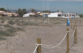 L'Ajuntament instal·la tanques en les dunes d’Almardà per a protegir el corriol camanegre