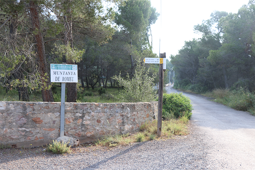 La Comissió Informativa de Territori i Sostenibilitat dictamina favorablement presentar recurs de cassació a la sentència del Tribunal Superior sobre el Paratge Natural de Romeu 