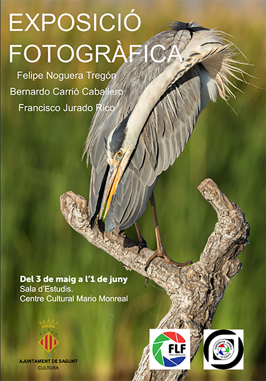 Arriba l'exposició fotogràfica 'Natura' a Sagunt