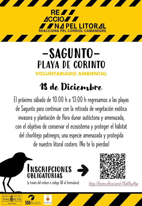 Cartel de la actividad