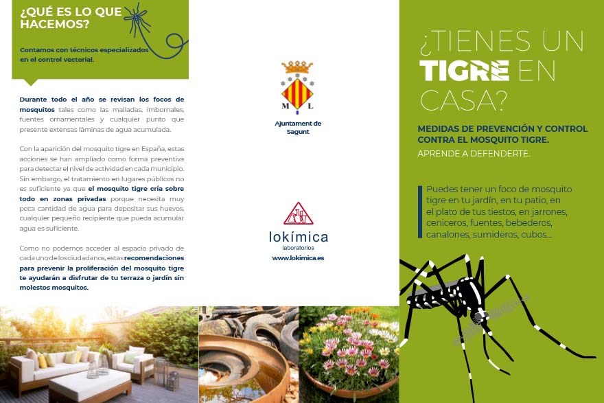 El departament municipal de Sanitat està tractant els focus catalogats davant la proliferació després de les pluges del mosquit tigre en el municipi