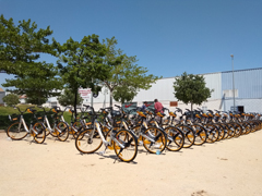 El departament de Mobilitat Urbana treballa en una experiència pilot de bicicletes de lloguer sense estacions