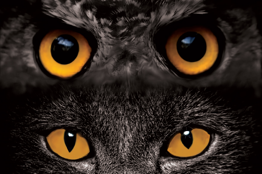 La Casa Municipal de Cultura acull l'obra de teatre ‘La gata y el búho’ divendres 23 d'octubre