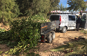 Nova denúncia a Almardà per depositar restes de poda en zona no autoritzada