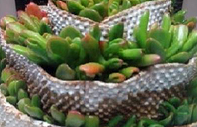 La Casa de Cultura acollirá l’exposició ¡Ven a mi patio! a partir de dimecres que ve