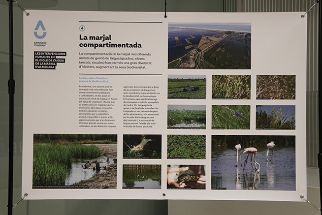 El Centre Cultural Mario Monreal ha inaugurat este dilluns l'exposició ‘Les intervencions humanes en el cicle de l’aigua de la marjal d’Almenara’