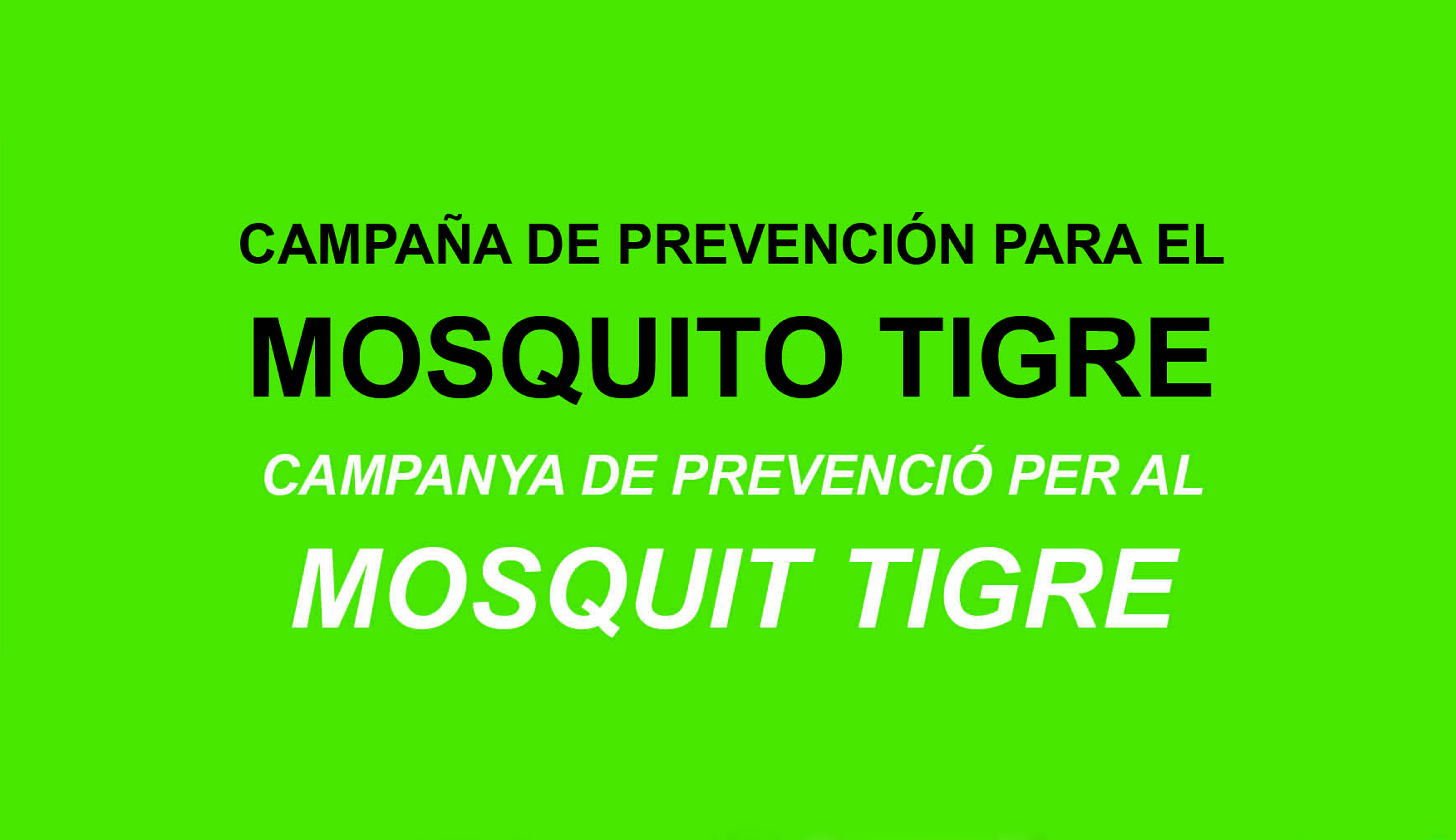 Tres xarrades informatives sobre el mosquit tigre seran impartides des del departament de Sanitat de l'Ajuntament de Sagunt
