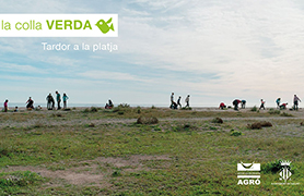 La Colla Verda programa tres plantacions de flora dunar per a esta tardor