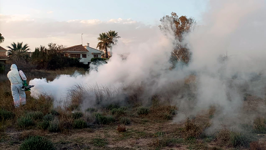 El Ayuntamiento de Sagunto intensifica el saneamiento y el control de plagas ante la llegada del calor