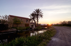 Estiu de natura en el centre mediambiental de la Marjal d’Almardà-Almenara