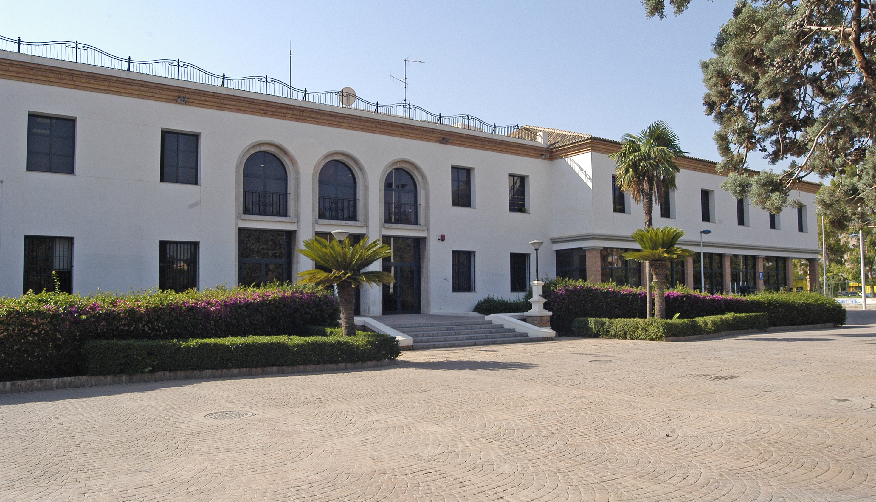 L'Ajuntament de Sagunt celebra el Dia del Major amb activitats del 30 de setembre al 7 d'octubre